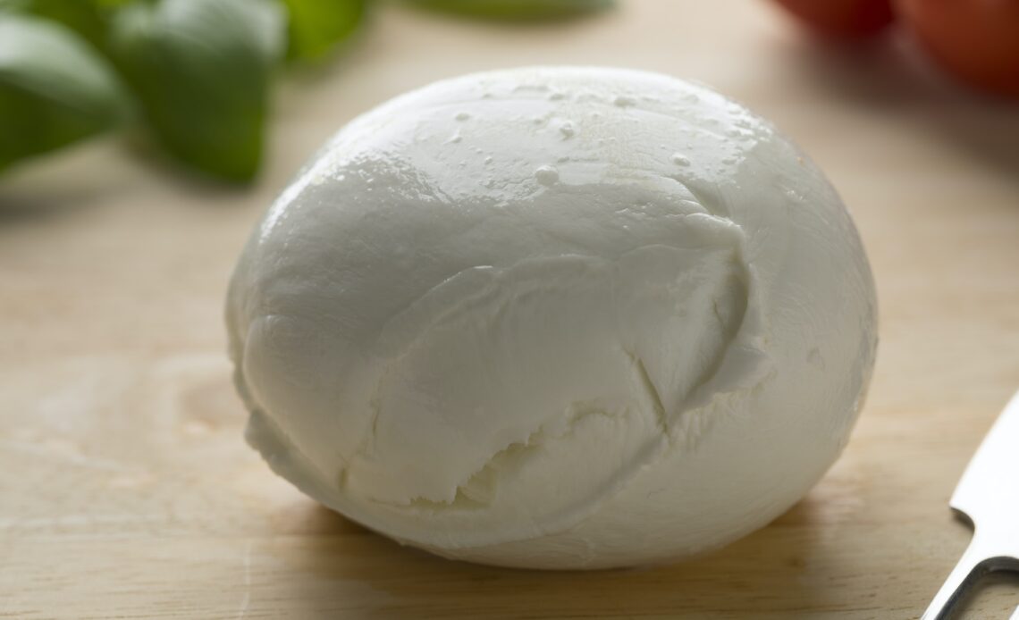 Fresh white Italian mozzarella
