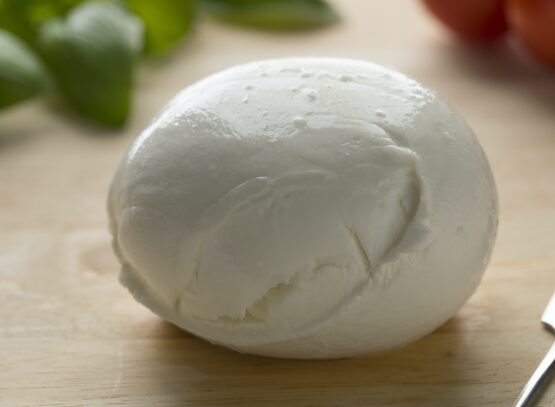 Fresh white Italian mozzarella